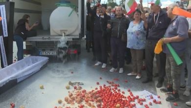 Фермери от няколко браншови организации в земеделския сектор излязоха на